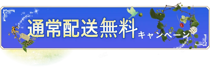 【ブロマイド印刷・A4プリント・集合写真・ラスタープリントもお任せ! 高画質・高品質なプロ仕上げ。デジカメプリントならアップルプリント】「通常配送無料キャンペーン」